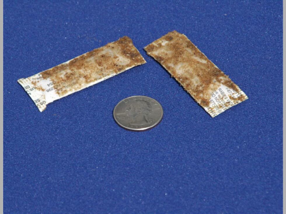 ORV bait in an effort to stop the spread of raccoon rabies.