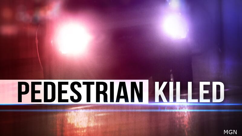 Pedestrian killed generic