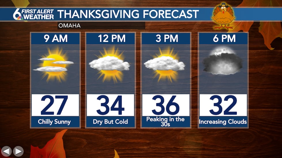 Thanksgiving Forecast
