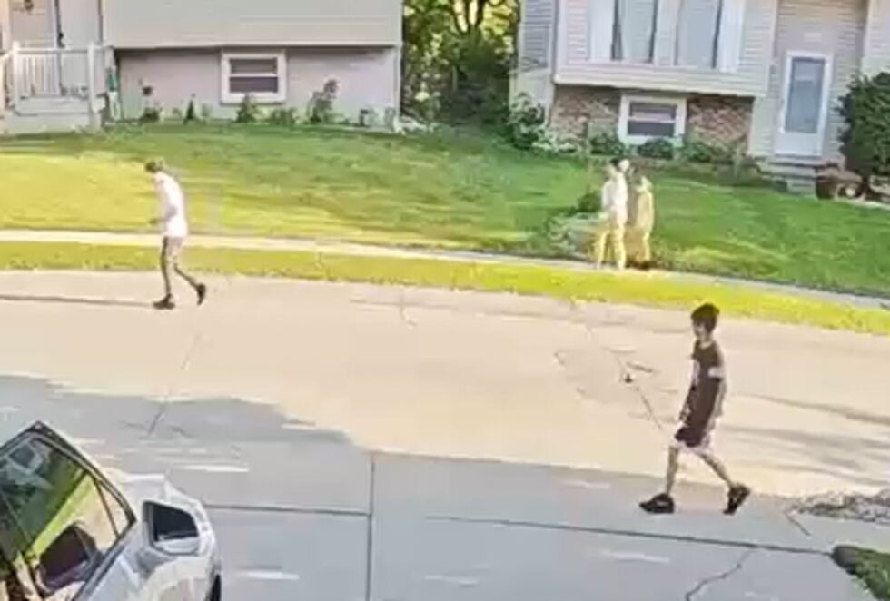 The Sarpy County Sheriff's Office is looking for information about an assault that happened...