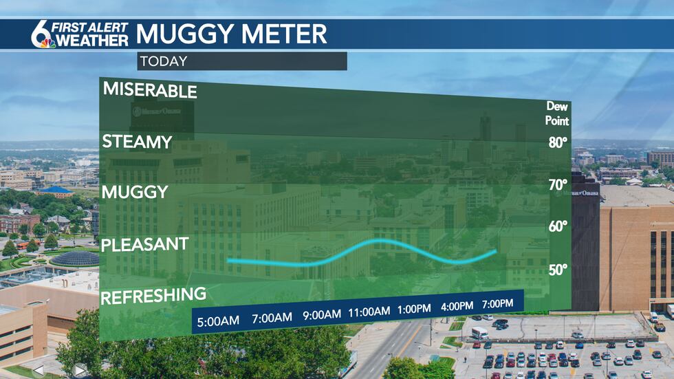 Muggy Meter