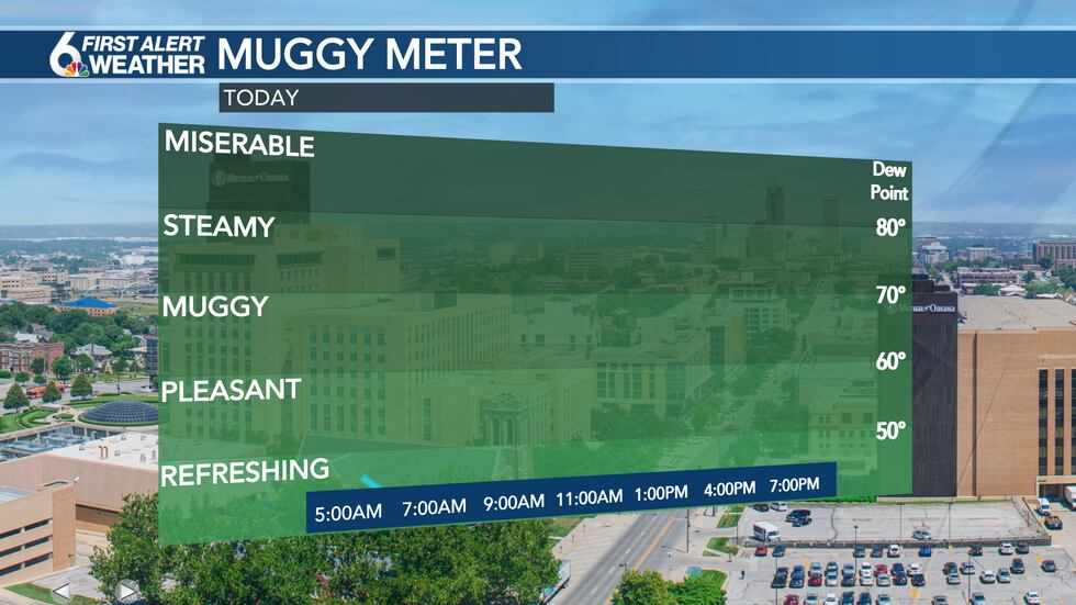 Muggy Meter
