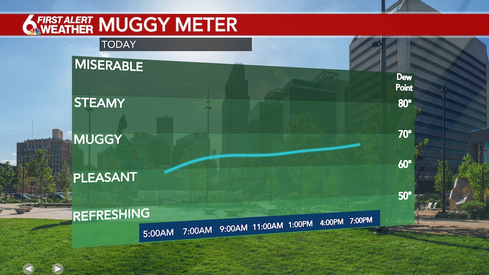 Muggy Meter