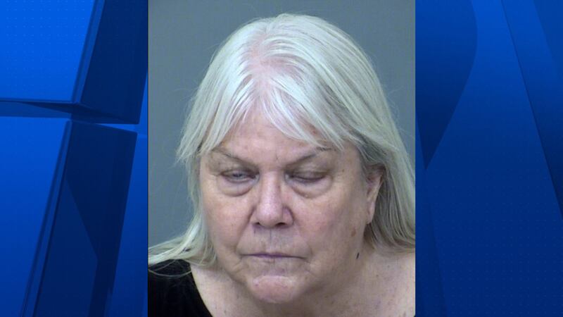Carla Ann Whaley faces one count of fraudulent schemes and one count of financing a criminal...