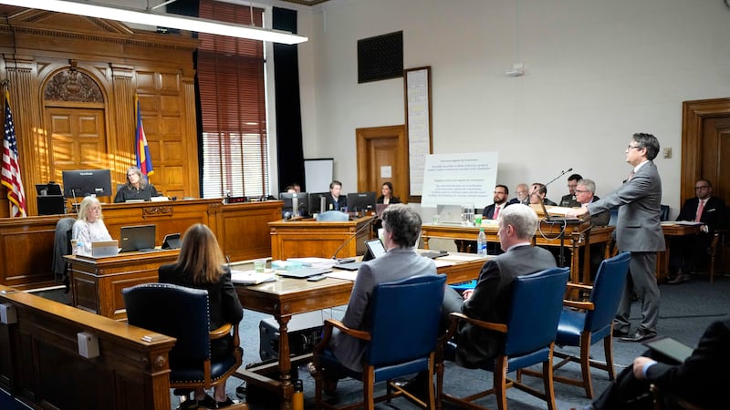 Sean Grimsley, attorney for the petitioners, delivers closing arguments in a hearing for a...