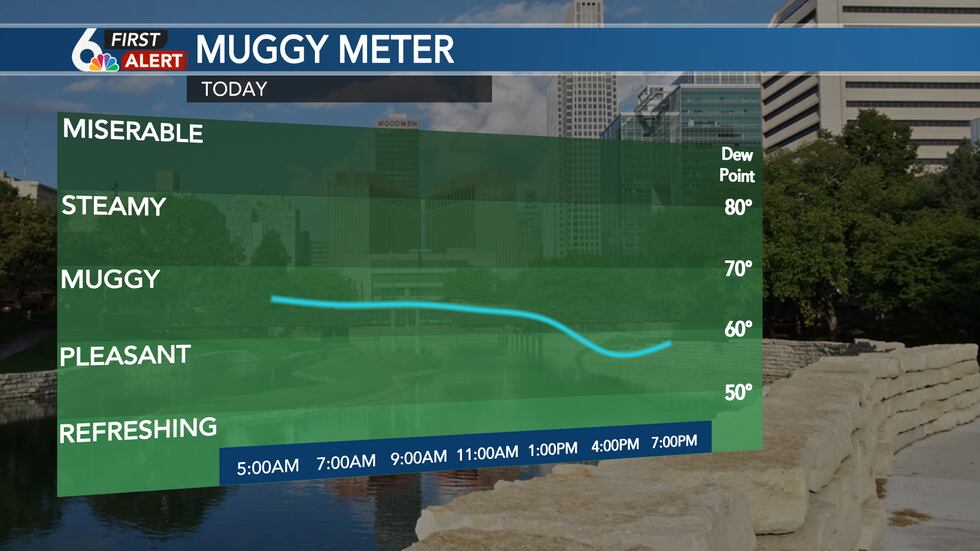 Muggy Meter